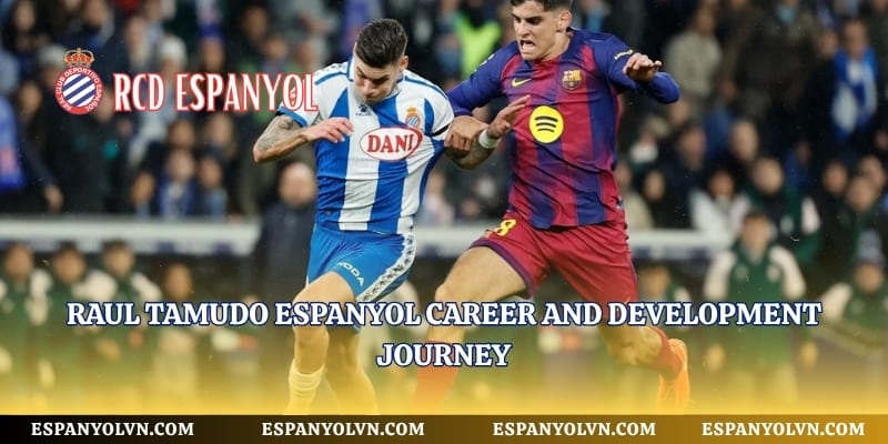 Raul Tamudo Espanyol career and development journey