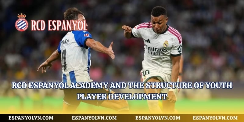 Rcd Espanyol Academy And The Structure Of Youth Player Development